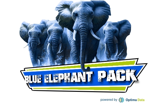The Blue Elephant Pack, een PostgreSQL opleidings- en coachingsprogramma van OptimaData
